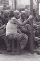 /album/cghacun-pour-lautre/prisonniers-arme%cc%81niens-le-jour-de-leur-libe%cc%81ration-de-la-prison-de-gobustan%2c-pre%cc%80s-de-bakou-%2826%29-jpg/